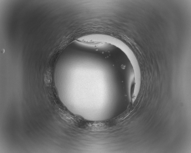 X0000067830517200605041627