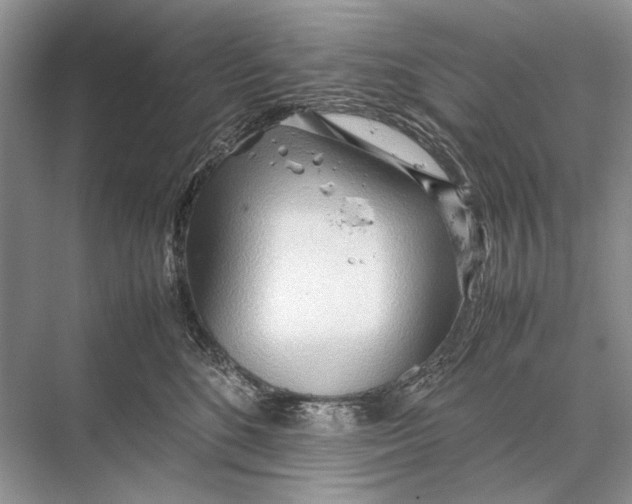 X0000067830520200605041627