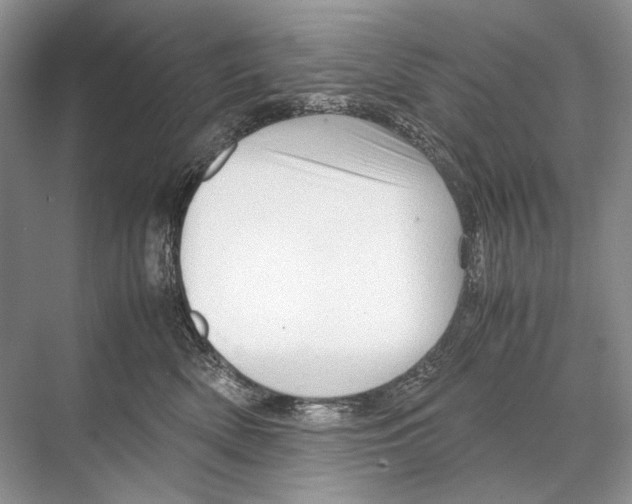 X0000067830522200605041627