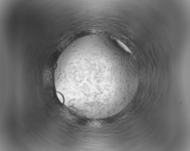 X0000067830523200605041627