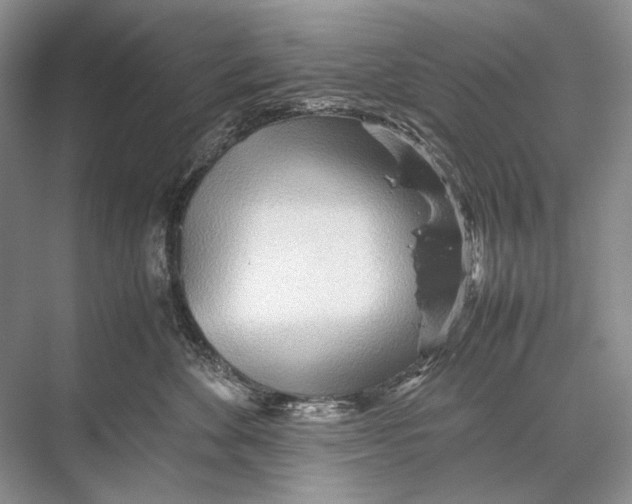 X0000067830524200605041627