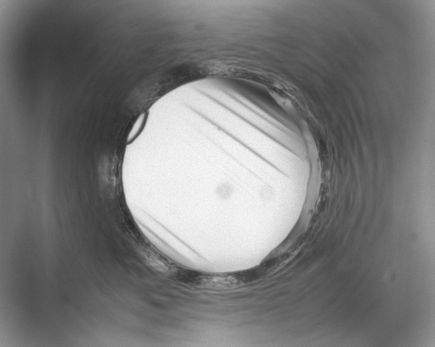 X0000067830525200605041627