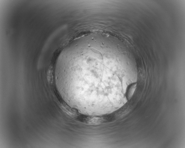 X0000067830527200605041627