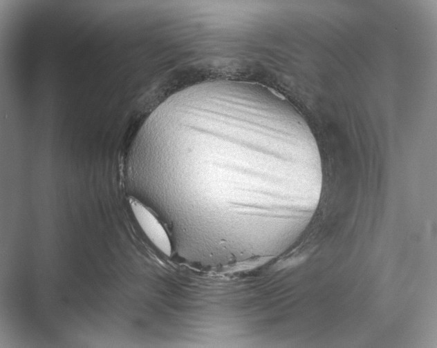 X0000067830528200605041627