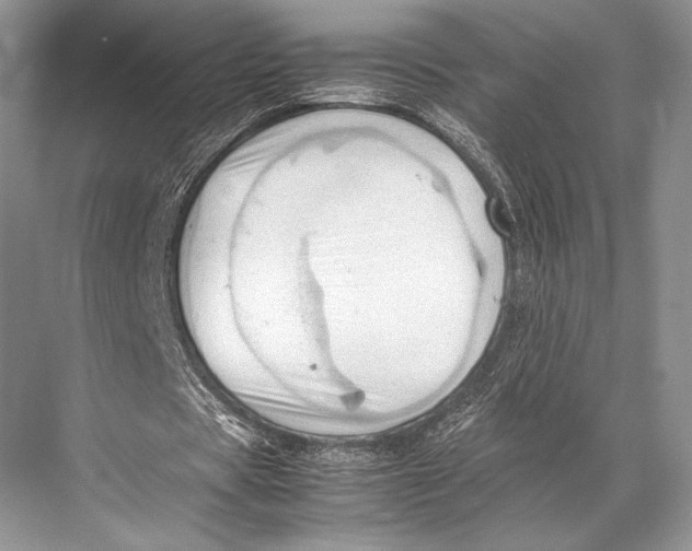 X0000067830529200605041626