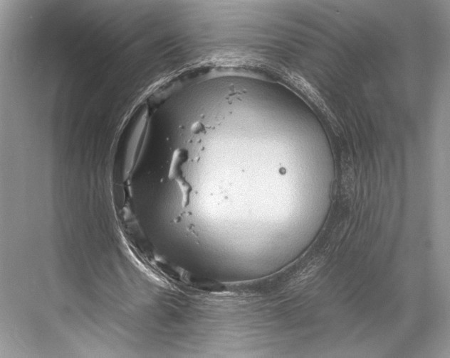 X0000067830530200605041626