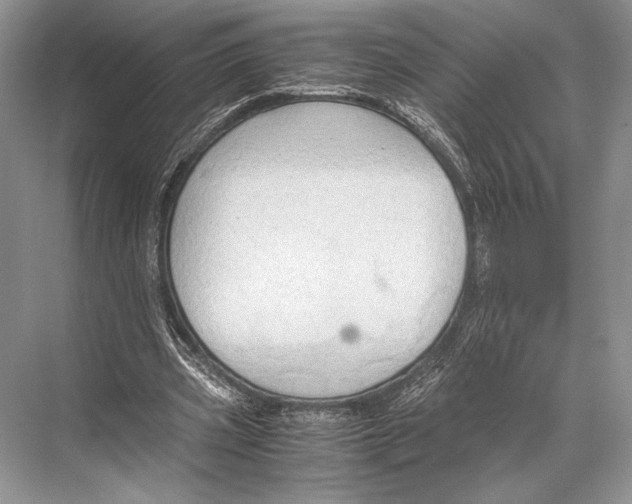 X0000067830533200605041626