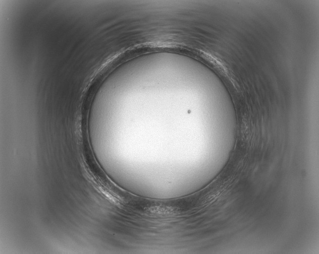 X0000067830535200605041626