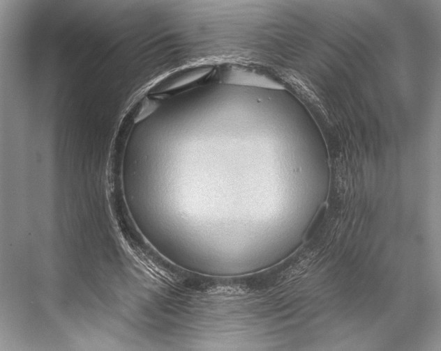 X0000067830536200605041626