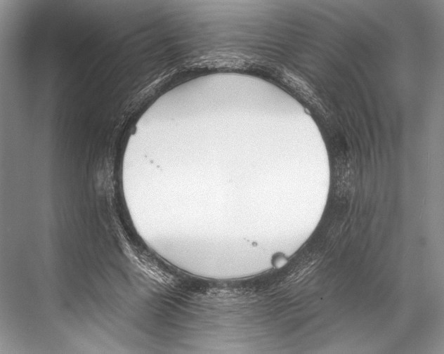 X0000067830538200605041626