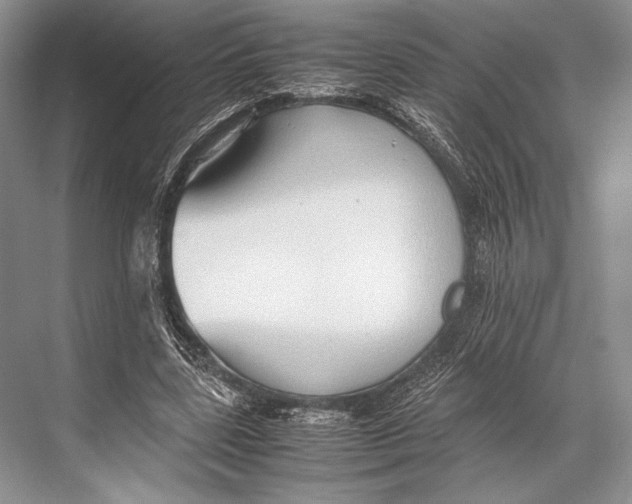 X0000067830539200605041626