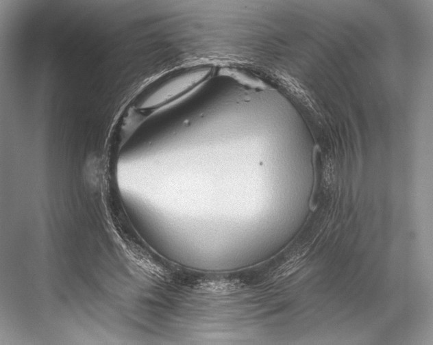 X0000067830540200605041626