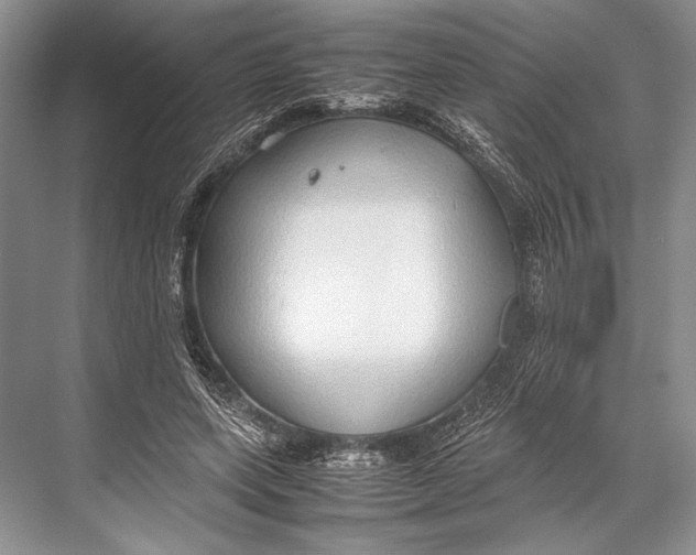 X0000067830543200605041626