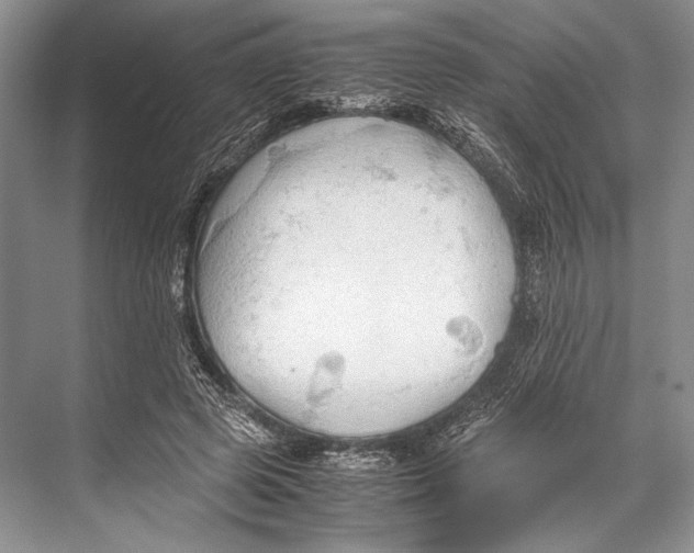 X0000067830545200605041626