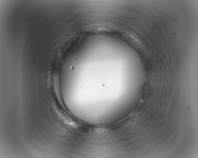 X0000067830546200605041626