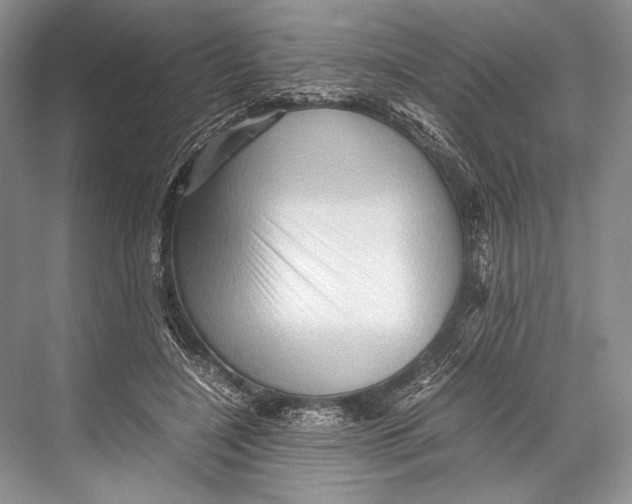 X0000067830548200605041626