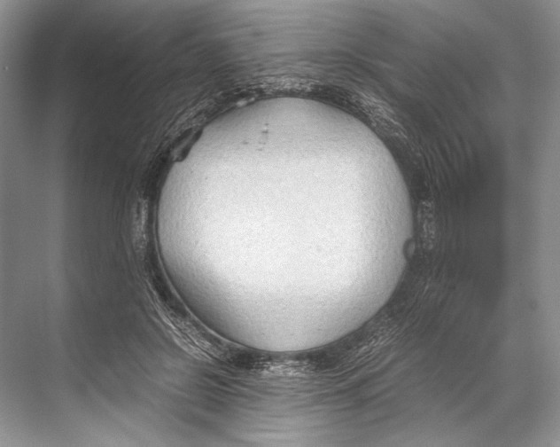 X0000067830550200605041626