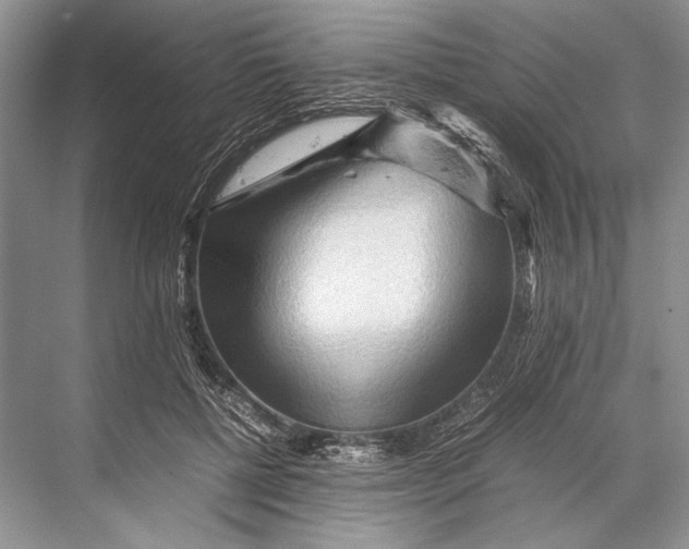 X0000067830552200605041626