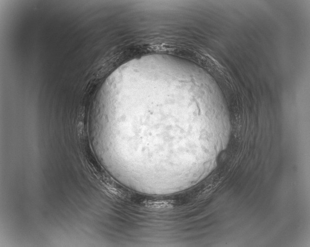 X0000067830553200605041626