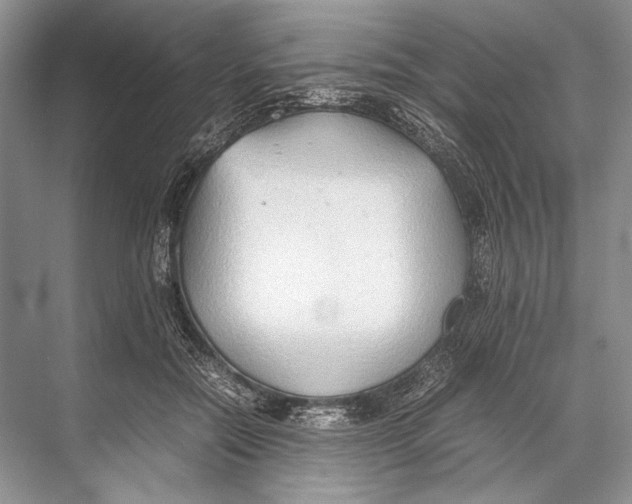 X0000067830554200605041626