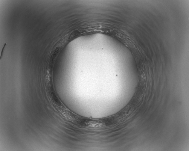 X0000067830555200605041626