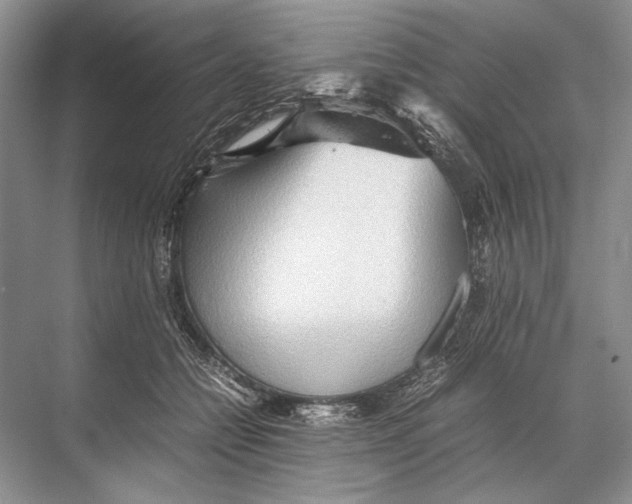 X0000067830558200605041626