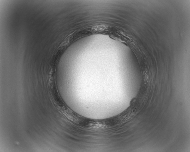 X0000067830559200605041626