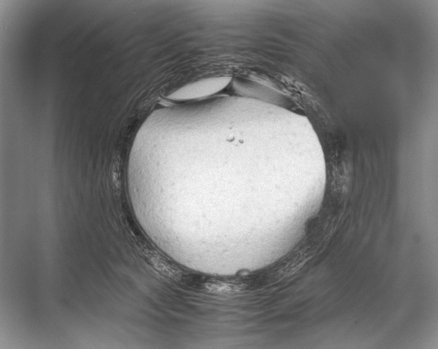 X0000067830561200605041626