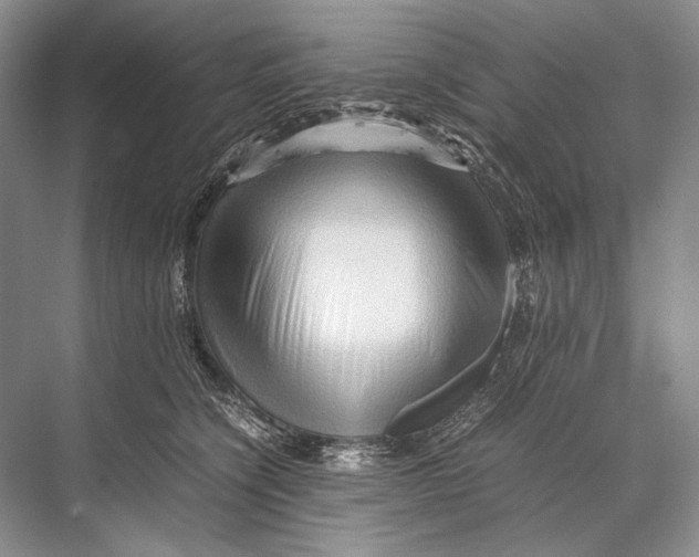 X0000067830564200605041626