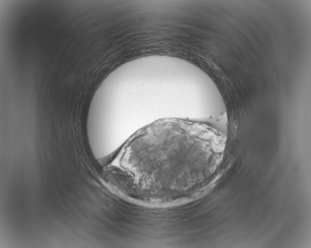 X0000067830565200605041626