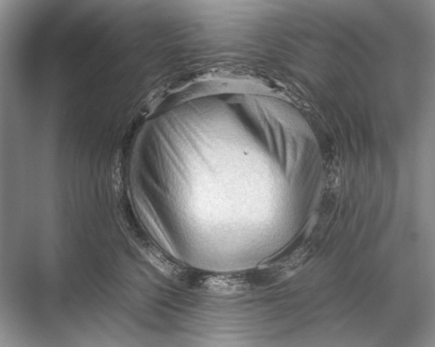 X0000067830568200605041626