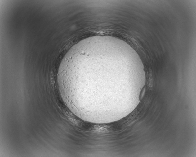 X0000067830569200605041626