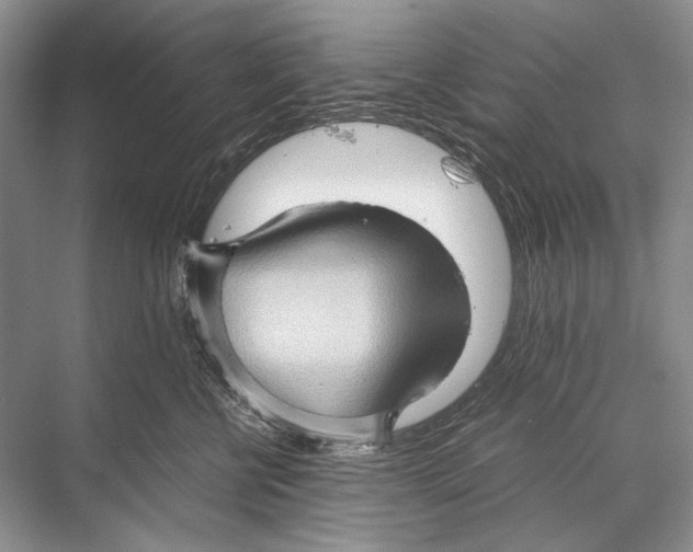 X0000067830570200605041626