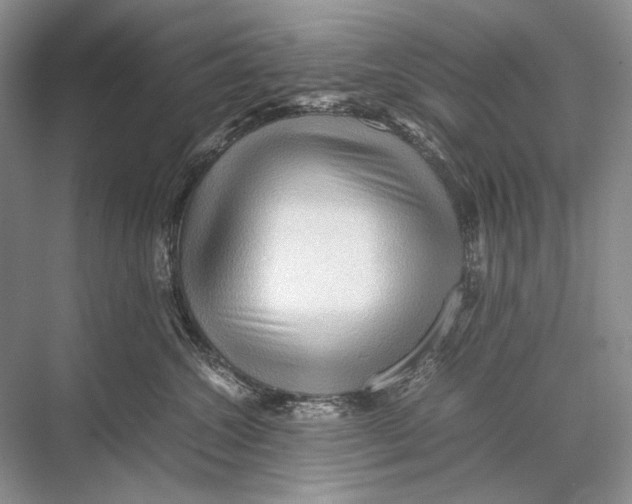 X0000067830572200605041626