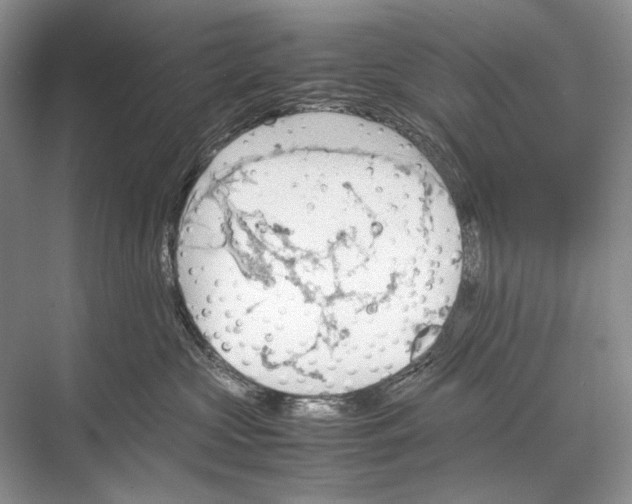 X0000067830573200605041626