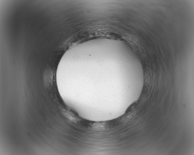 X0000067830574200605041626