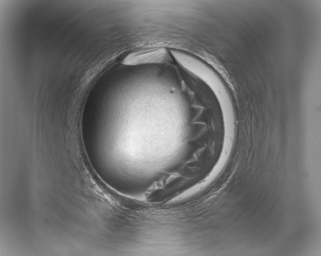 X0000067830577200605041626