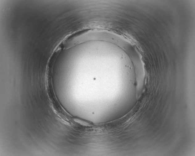 X0000067830580200605041626