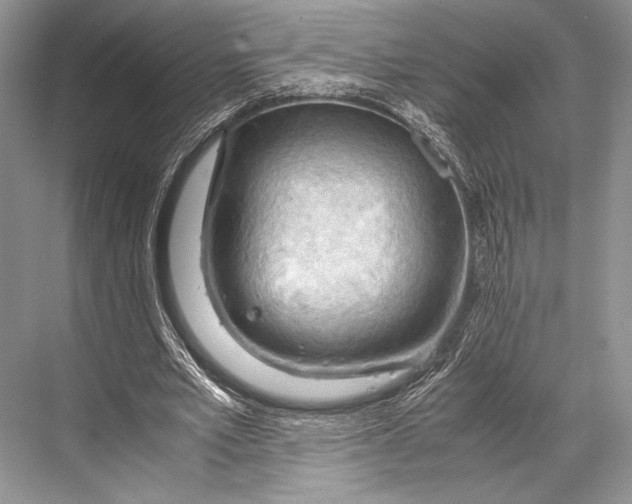 X0000067830581200605041626