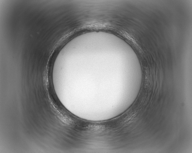 X0000067830582200605041626