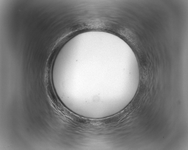 X0000067830583200605041626