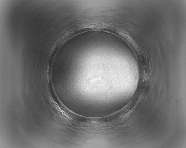 X0000067830585200605041626