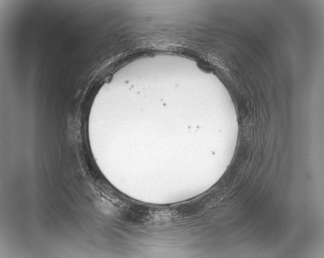 X0000067830587200605041626