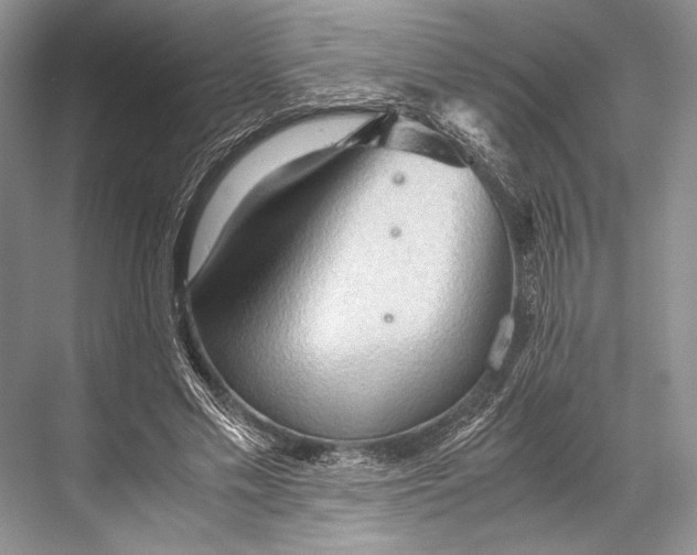 X0000067830589200605041626