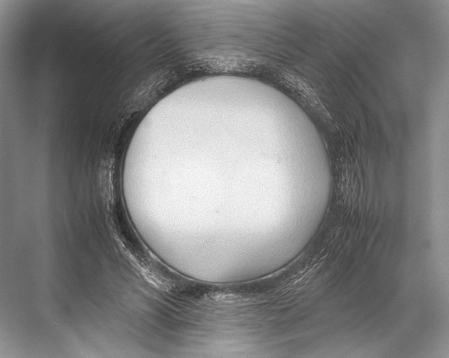 X0000067830590200605041625