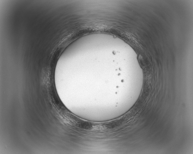 X0000067830591200605041625