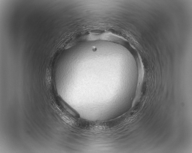 X0000067830593200605041625