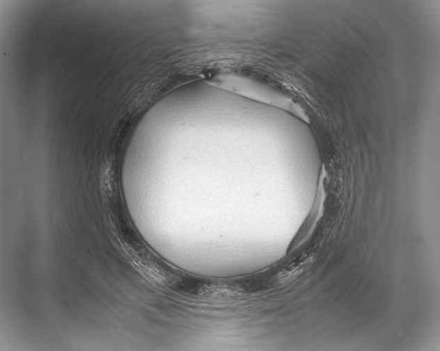 X0000067830597200605041625