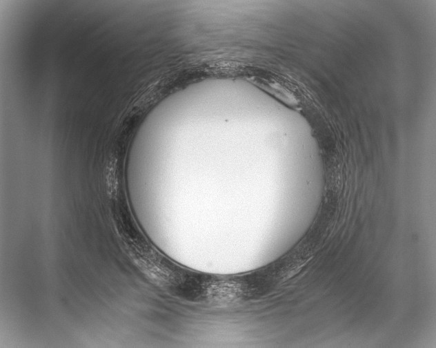 X0000067830599200605041625