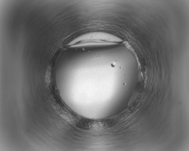 X0000067830600200605041625